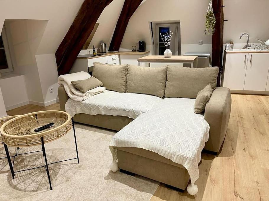 Appartement Cosy Centre Ville Saint-Amand-Mont-Rond Ngoại thất bức ảnh